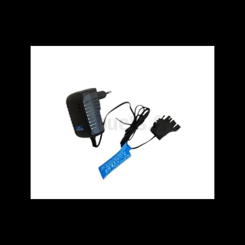 Ladegerät für Lithium-Batterien 12 Volt Peg-Pérego