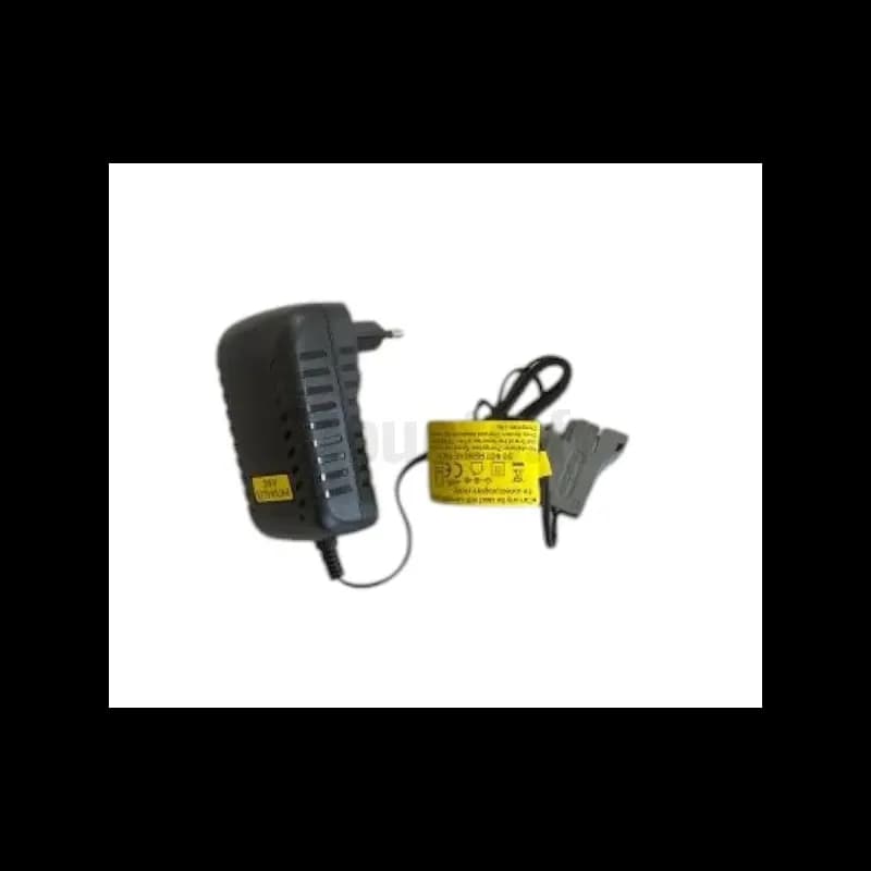 Lithium-Batterieladegerät 24 Volt Peg-Pérego