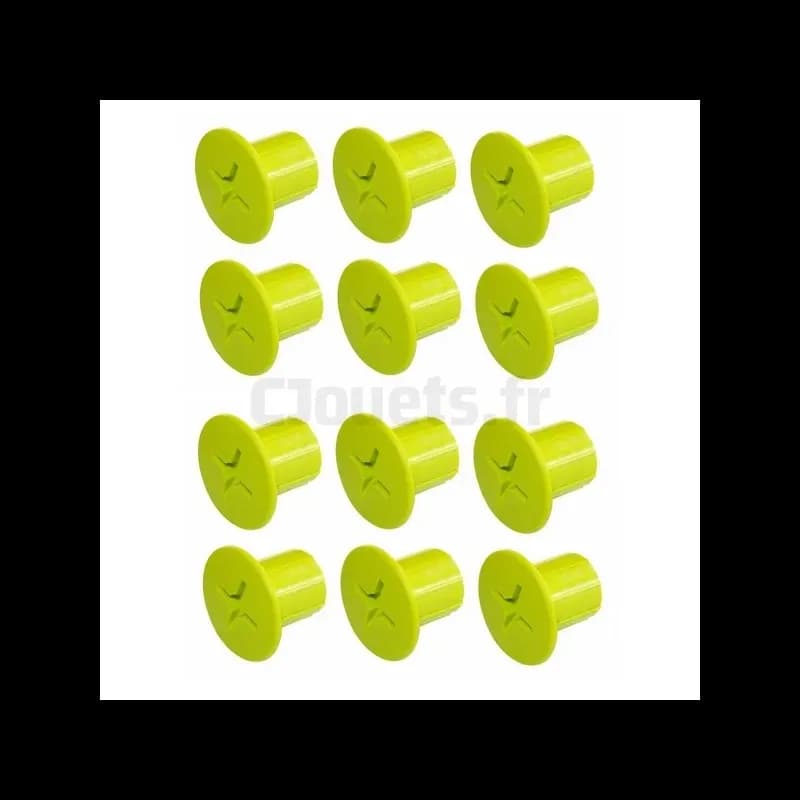 12 Vis plastique Femelle verte Smoby