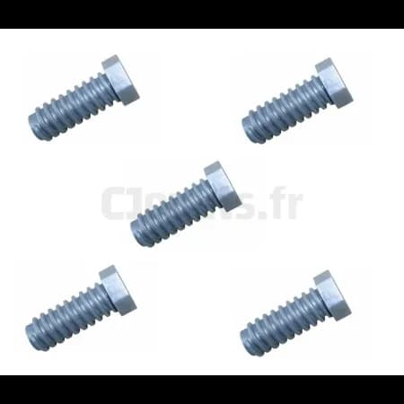 Vis grise pour établi Smoby