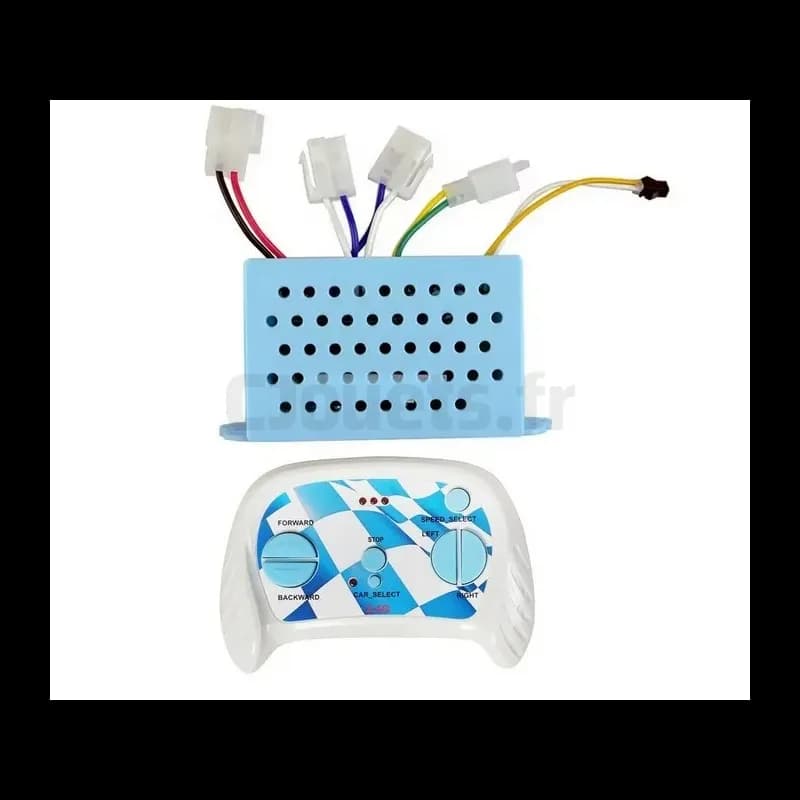 Boitier de contrôle 2.4 Ghz avec télécommande