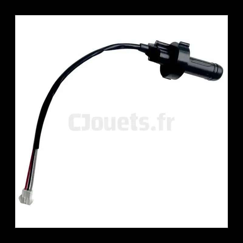 Poignée accélérateur Quad Injusa 12V | Pièce détachée