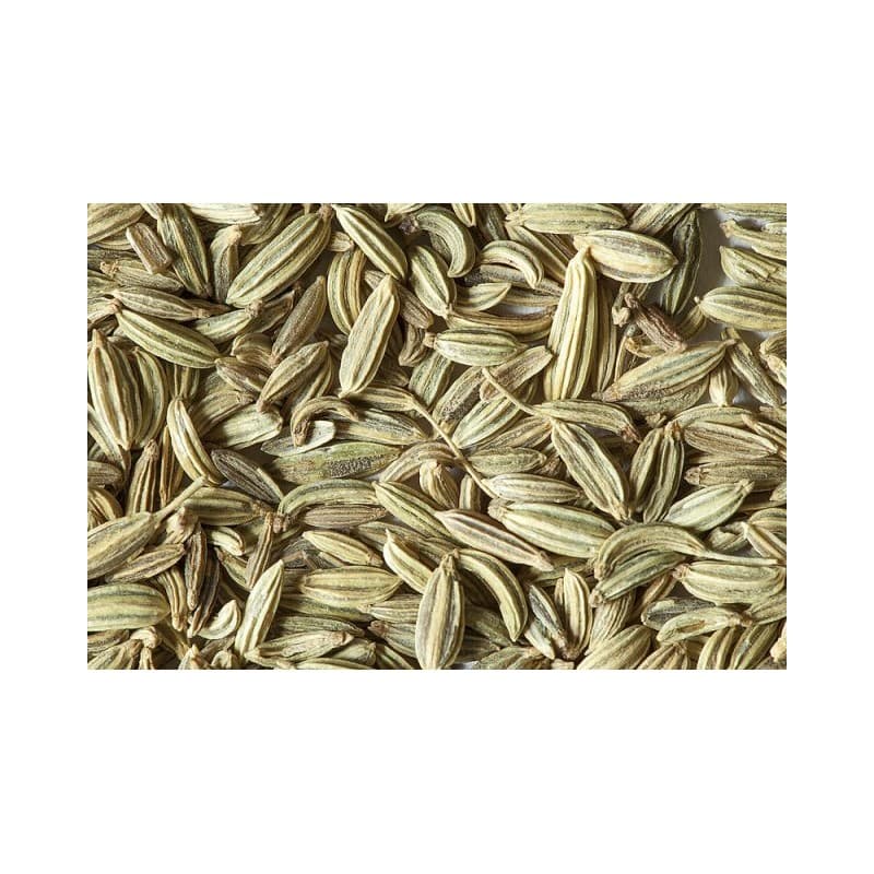 Graines de Fenouil - 50g - Kwefati