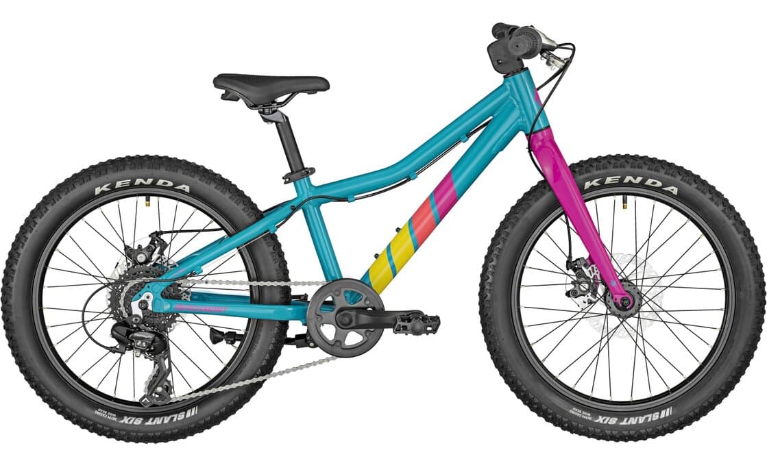 Bergamont Bergamonster 20 Plus blauw – 20 inch – Diamond – 2024 - M