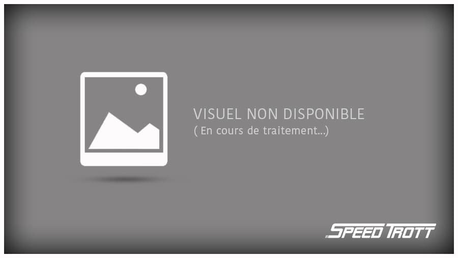 Rondelle de serrage de direction - XT800