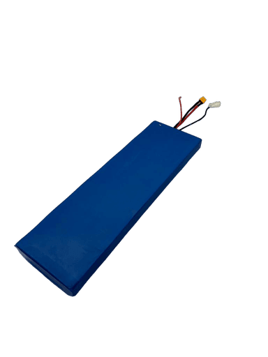 Dualtron Togo Plus | Batterie 48V15Ah