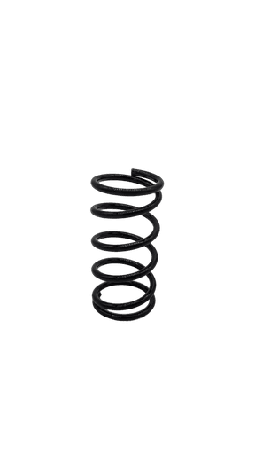 Dualtron Dolphin | Suspension Avant