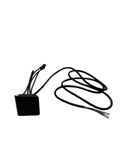 Display EY2 Dualtron Togo