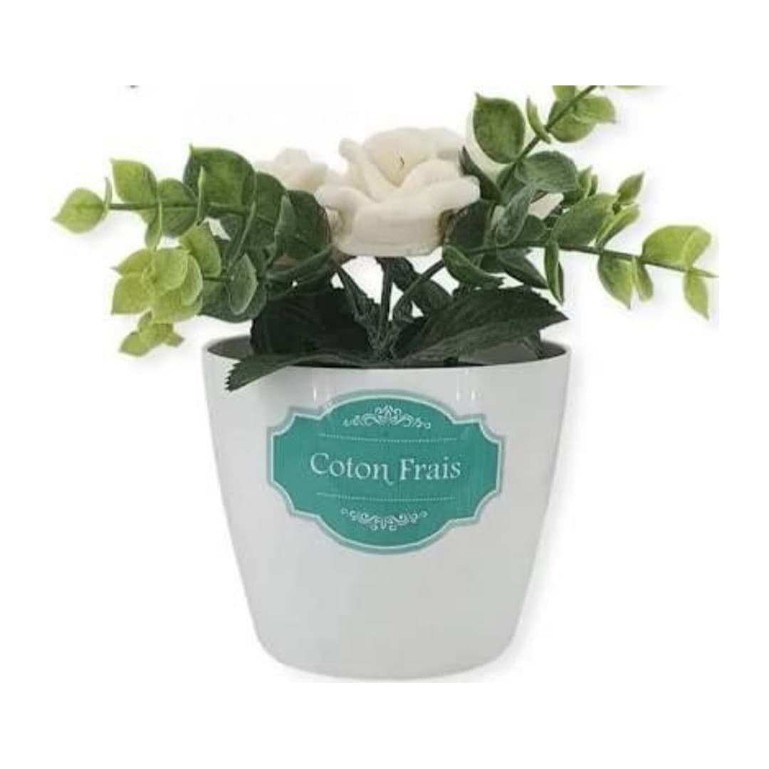 Fleurs de maison Coton Frais – Mosco