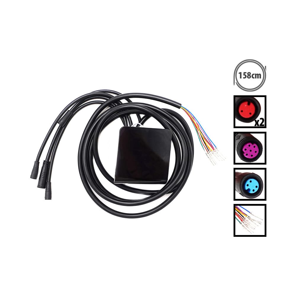 Display Dualtron Togo 36V 48V