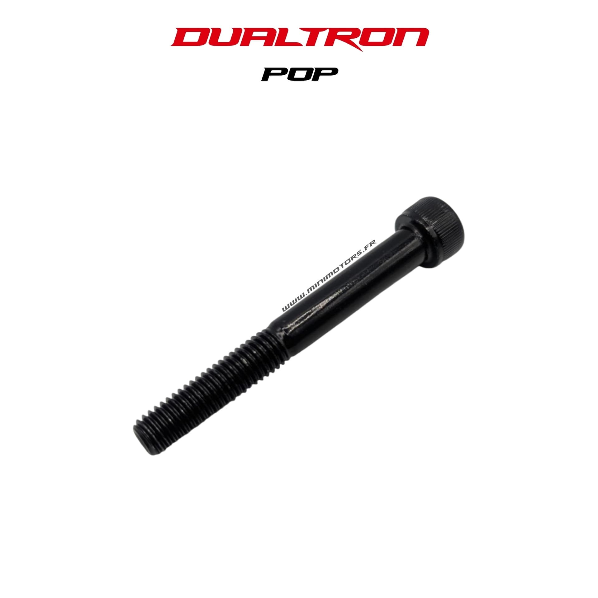 Dualtron Pop | AXE DU SUPPORT DE SUSPENSION ARRIÈRE