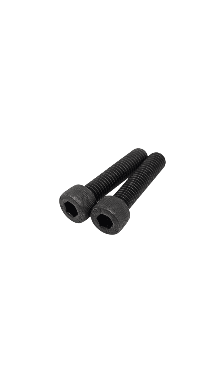Dualtron Mini & Mini Double Moteur & Togo Ltd | VIS FOURCHE AVANT (paire)