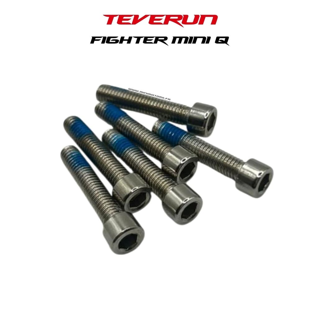 Teverun Fighter Mini Q | VIS JANTE AV/AR (x6) M5 x30