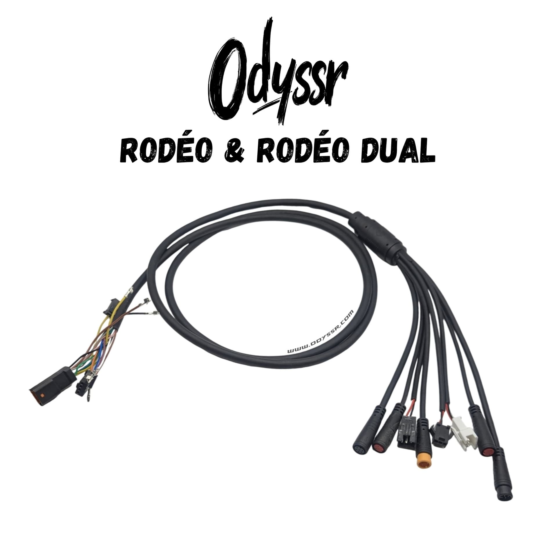 Odyssr Rodeo Dual | CÂBLE PRINCIPAL