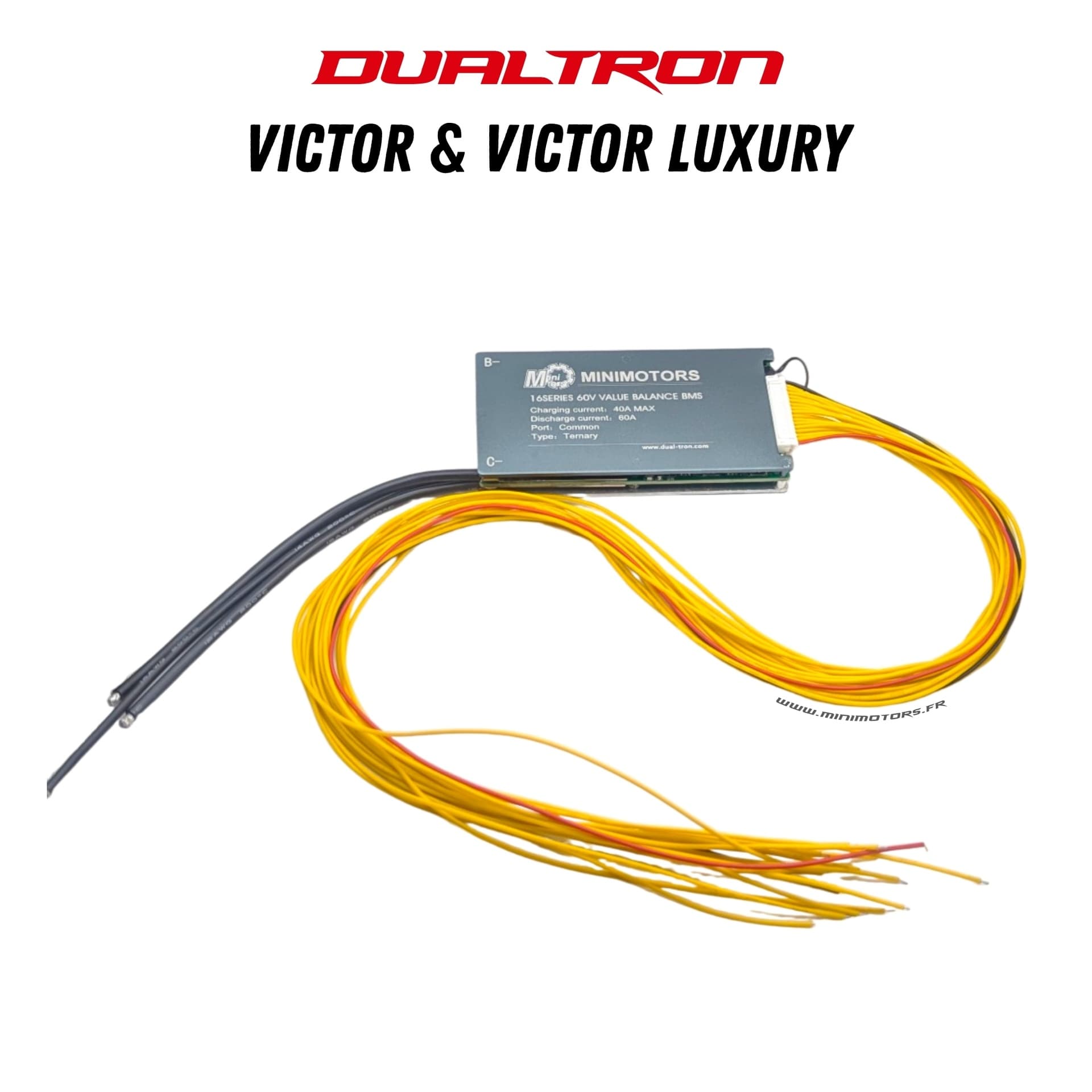 Dualtron Victor & Victor Luxury (V1&V2) | BMS 60V24A & 60V30A