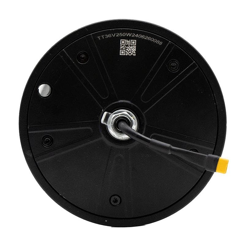 Moteur 36v 250W Wispeed Original T850