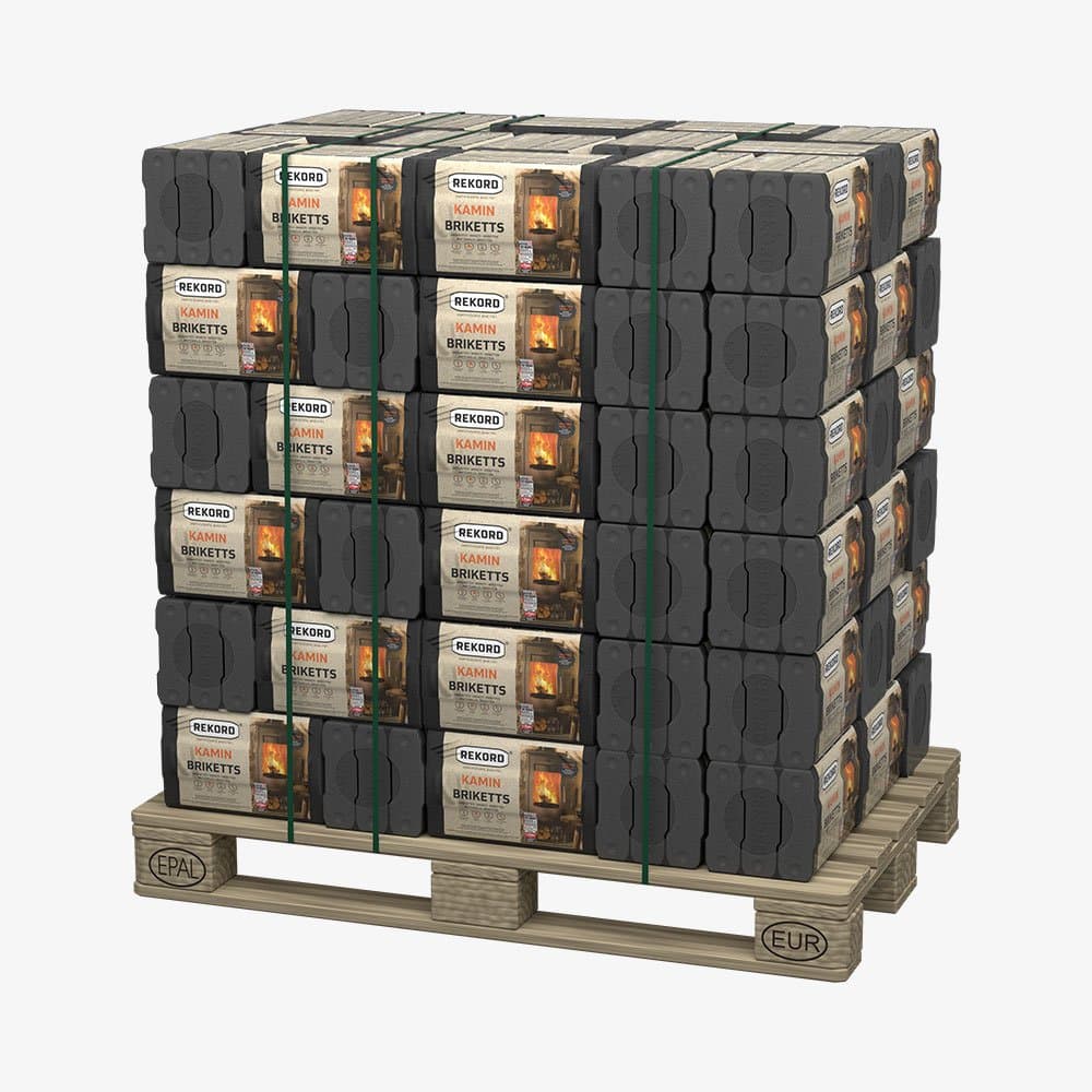 REKORD 10 kg Braunkohlebriketts Folie als PAL (90 x 10 kg)