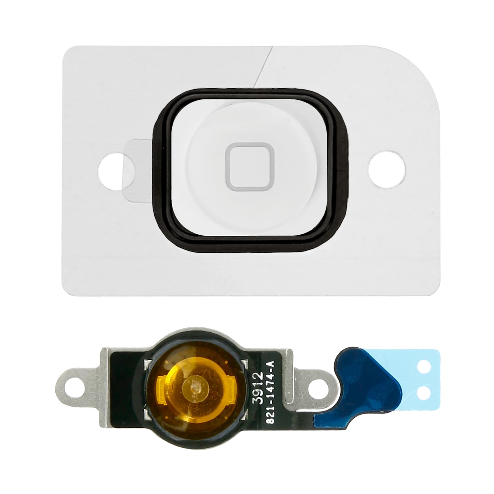 Bouton principale pour iPhone 5 Blanc