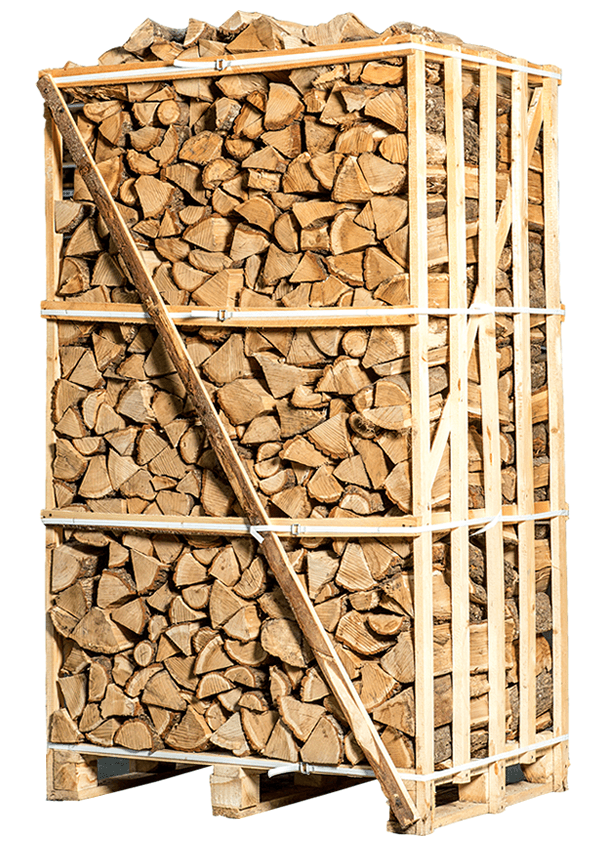 Gran palé de leña de carpe secada en horno – 25 cm