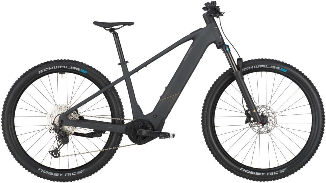 Bergamont E - Revox Sport 10 - 800 Wh - 29 Zoll - Diamant