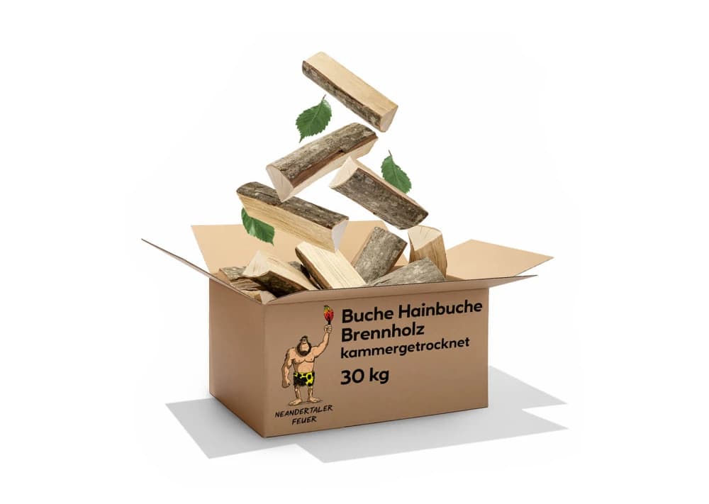 Brennholz Buche Hainbuche 300kg