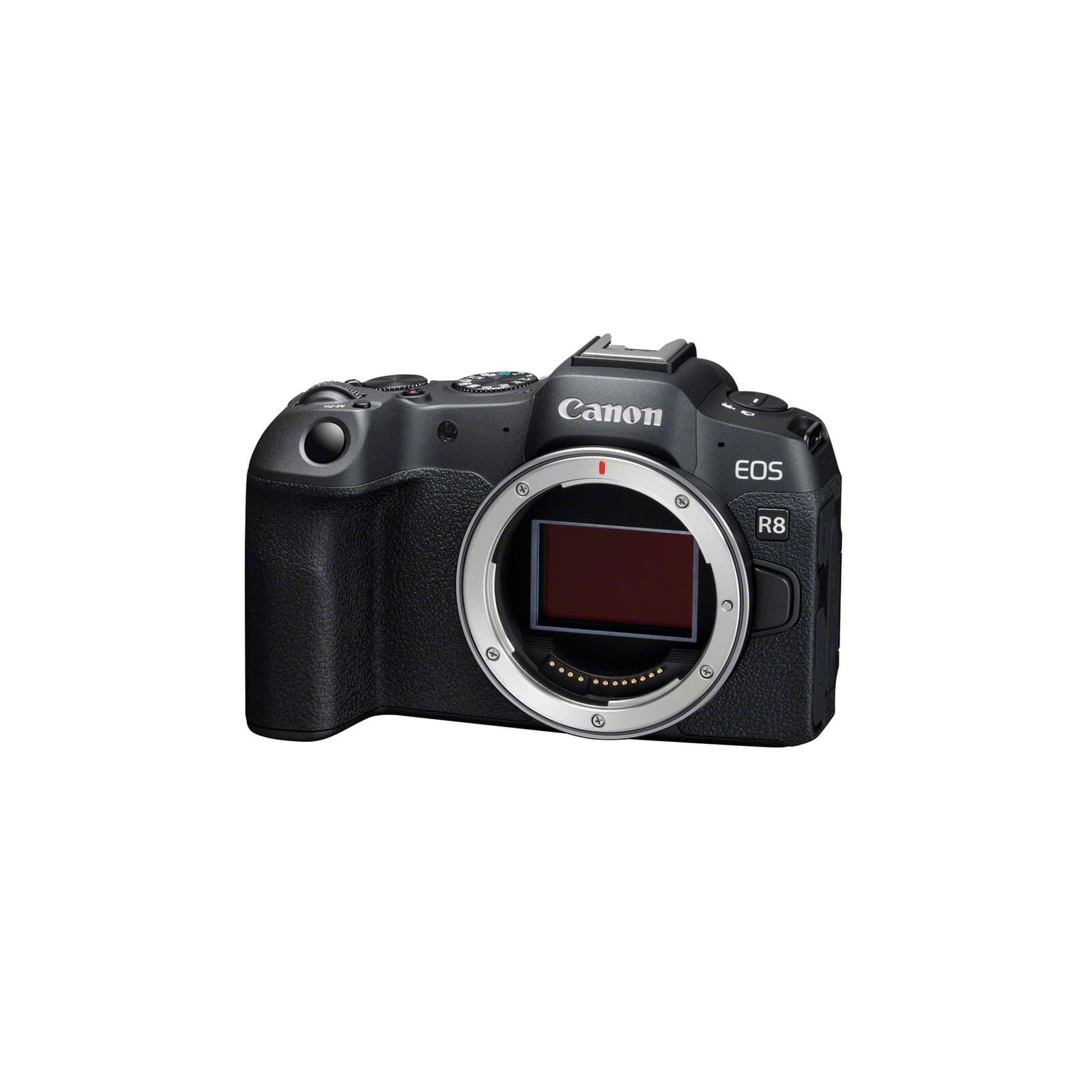 Canon EOS R8 Body