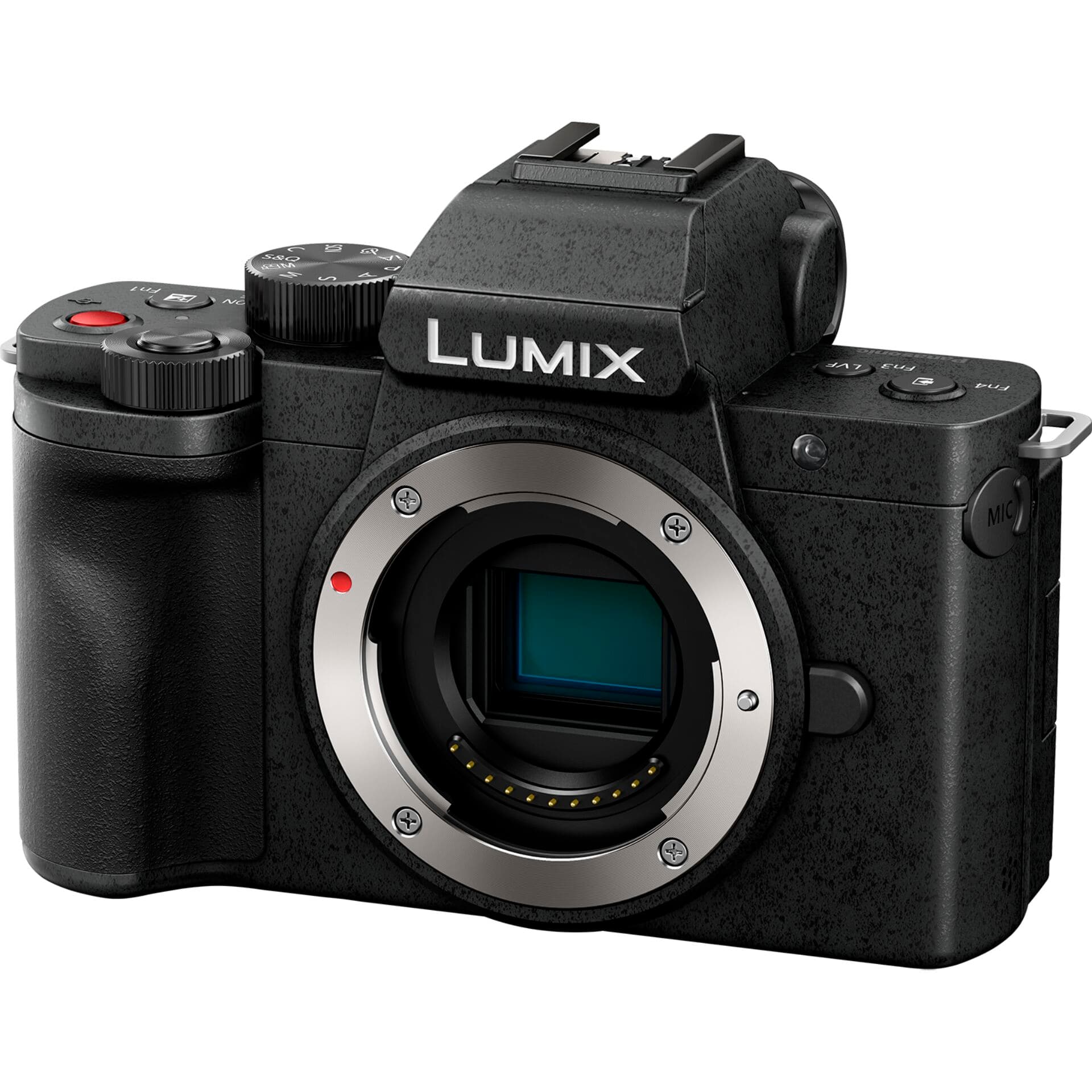 Panasonic Lumix DC-G100D + Lumix G Vario 12-32mm f/3.5-5.6 ASPH OIS + Tripod Grip