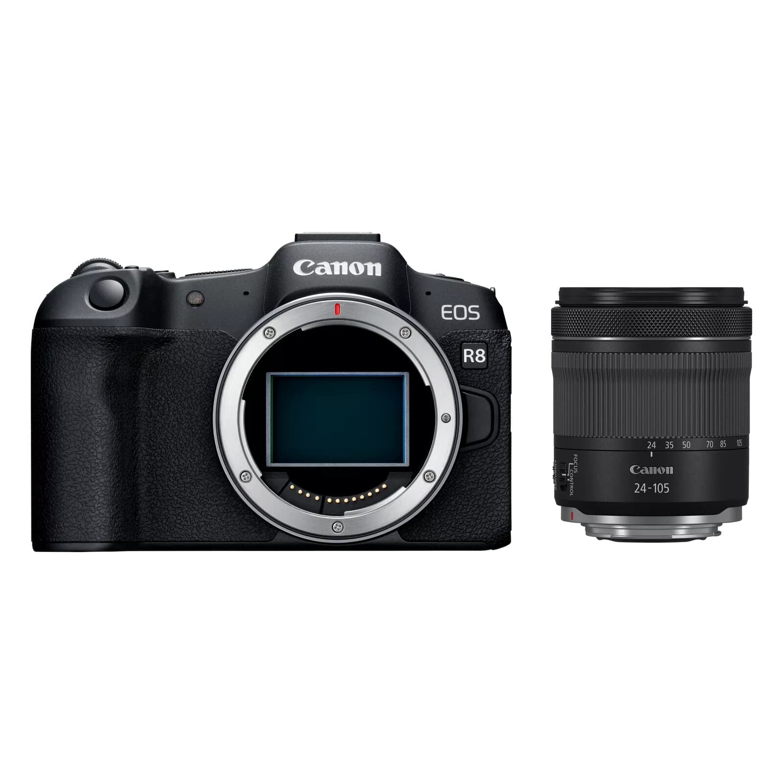 Canon EOS R8 + RF 24–105mm f/4–7.1 IS STM