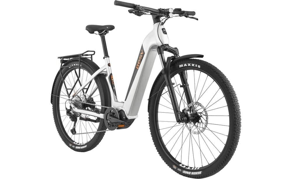 BESV TRX Urban 1.1 LS 720 Wh 29 Zoll Tiefeinsteiger