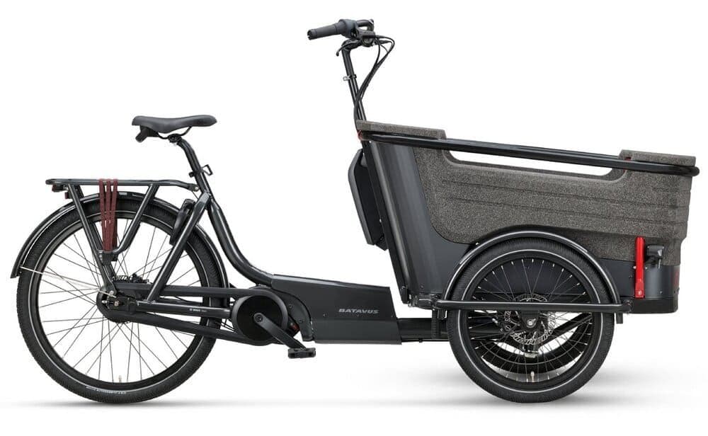 Batavus Fier-3 Env 500 Wh 20 Zoll Dreirad