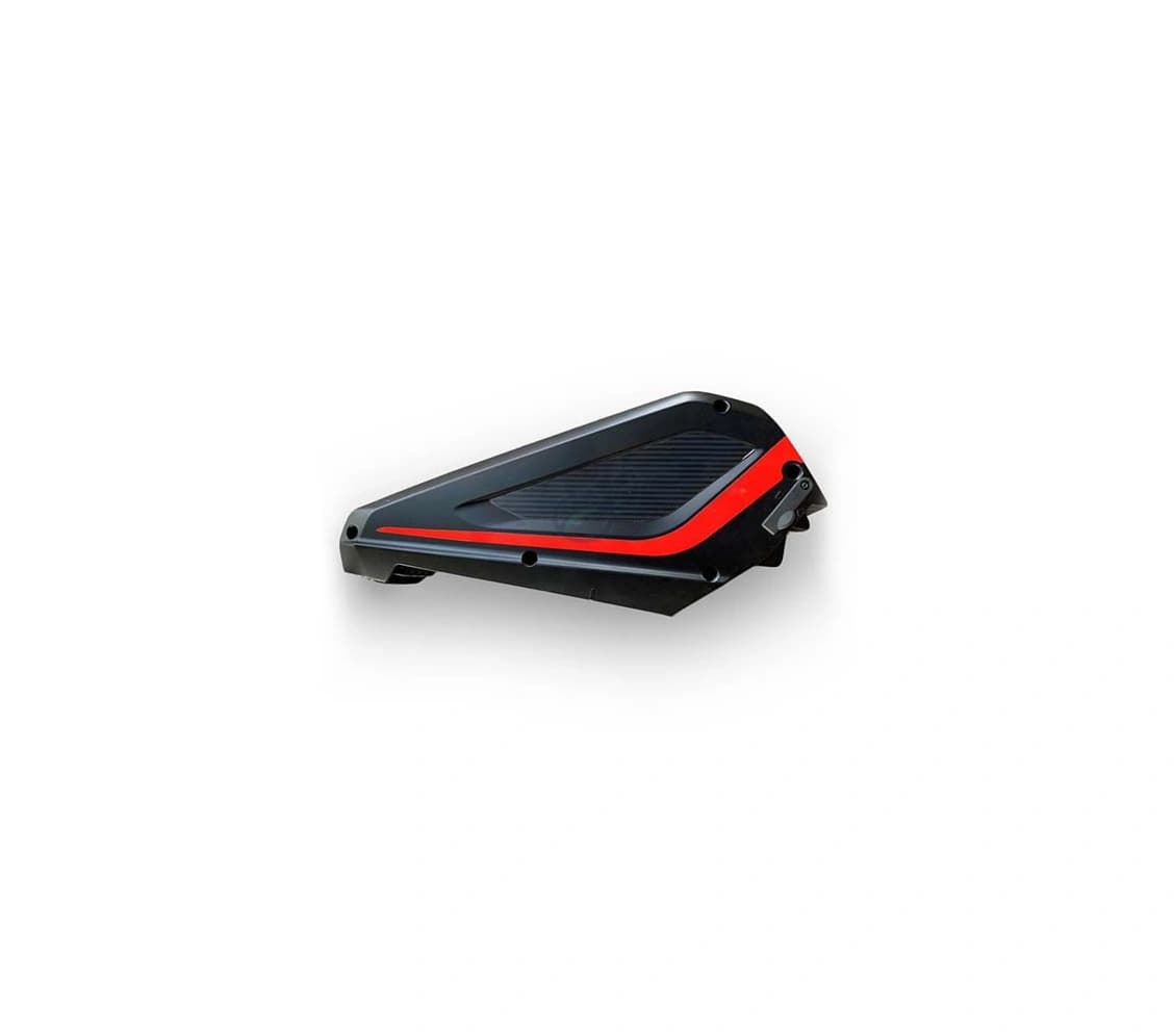 Panasonic Vollblut 8.8Ah 48V