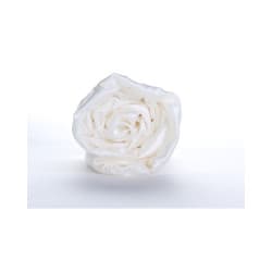 Drap-housse en soie-coton 22mm 160 x 210 cm Soie ivoire