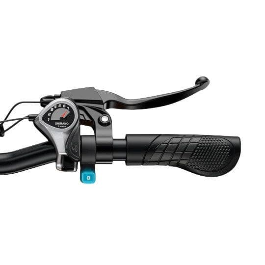 Vélo électrique adulte ENGWE EP-2 Boost, moteur 250 W, batterie 48 V 13 Ah - S