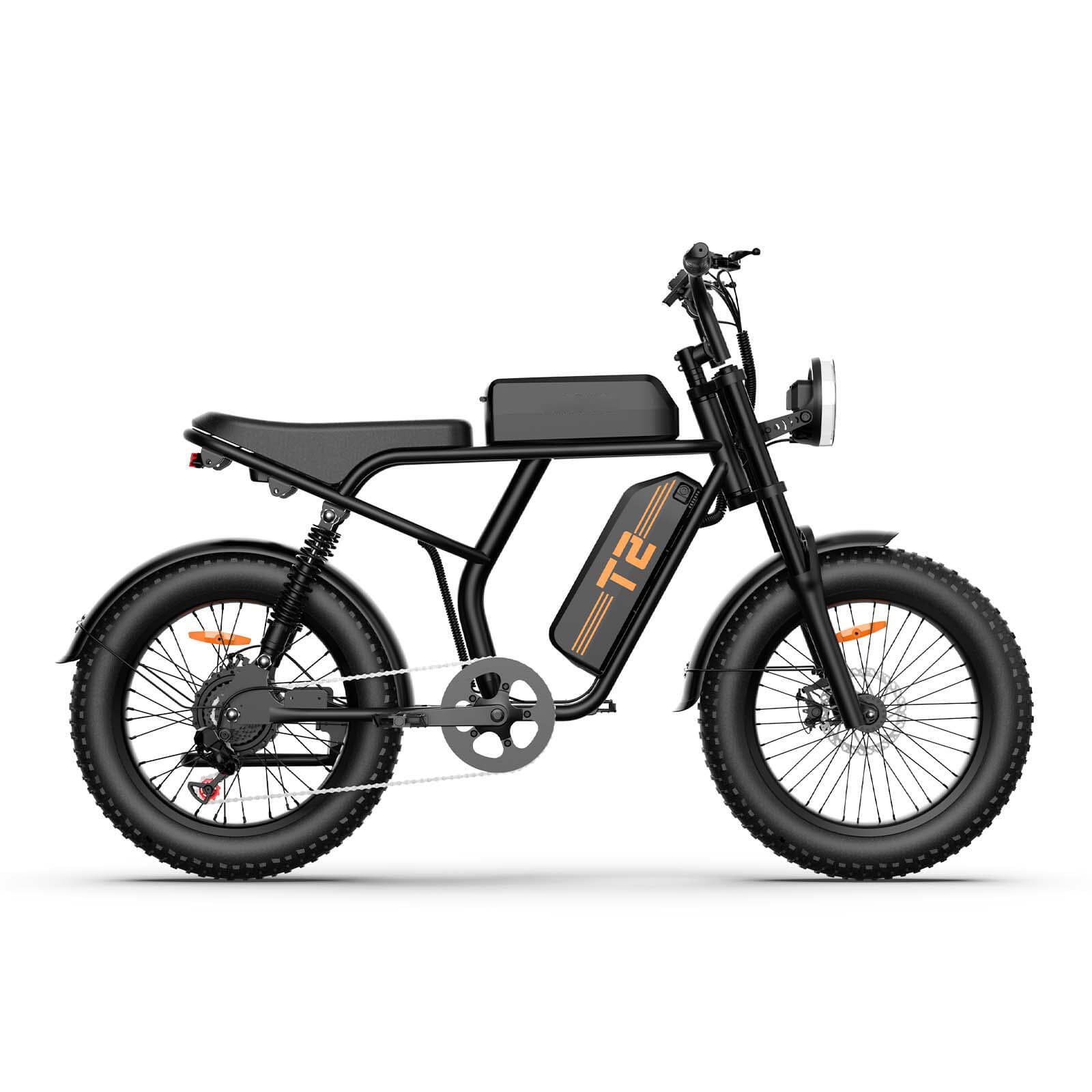 Vélo électrique URLIFE T2, moteur 250 W, batterie 48 V 15,6 Ah - Standard