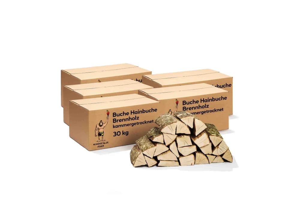 Brennholz Buche Hainbuche 270kg
