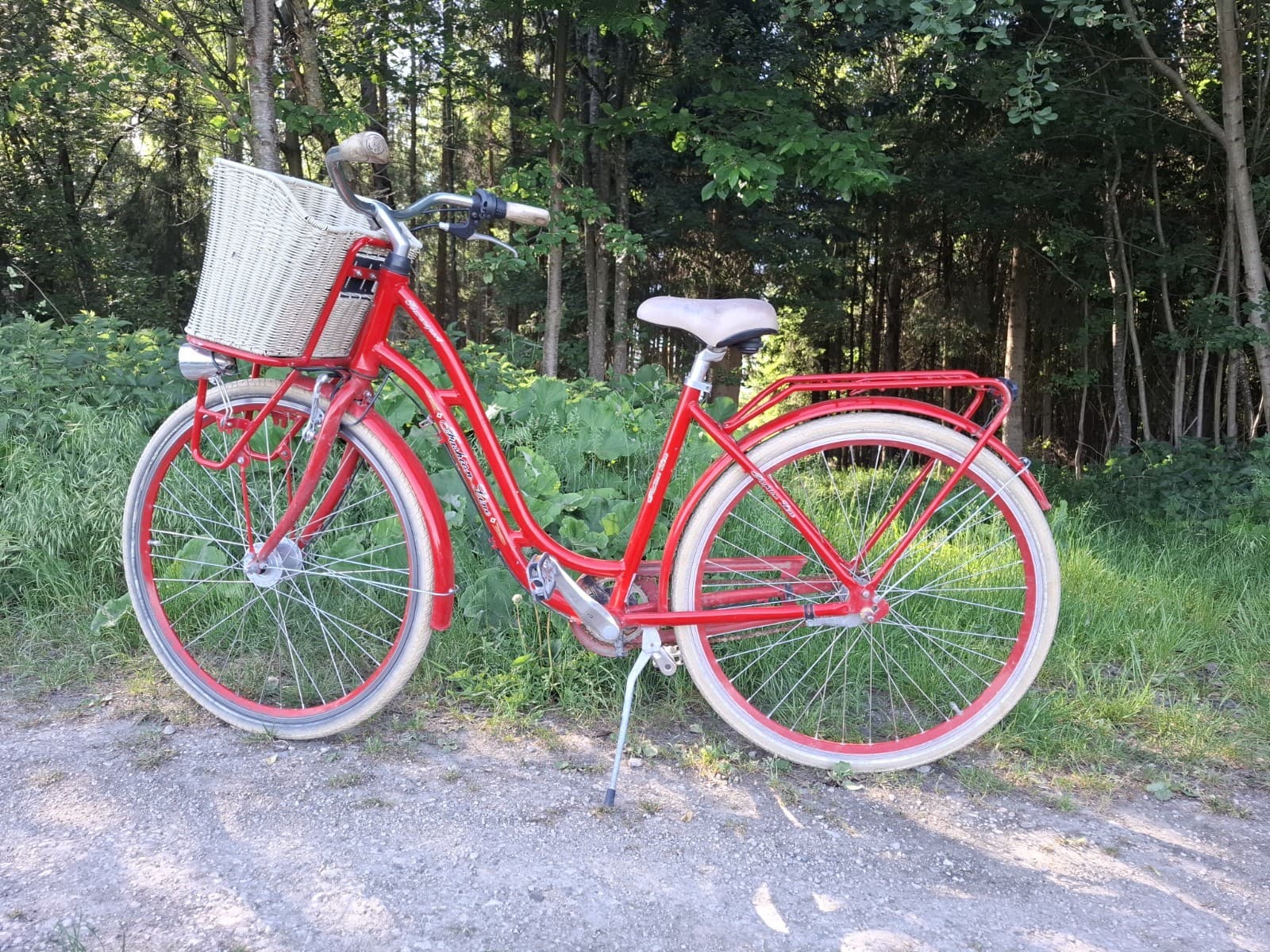 Rotes Stadtrad (Citybike, Hollandrad)
