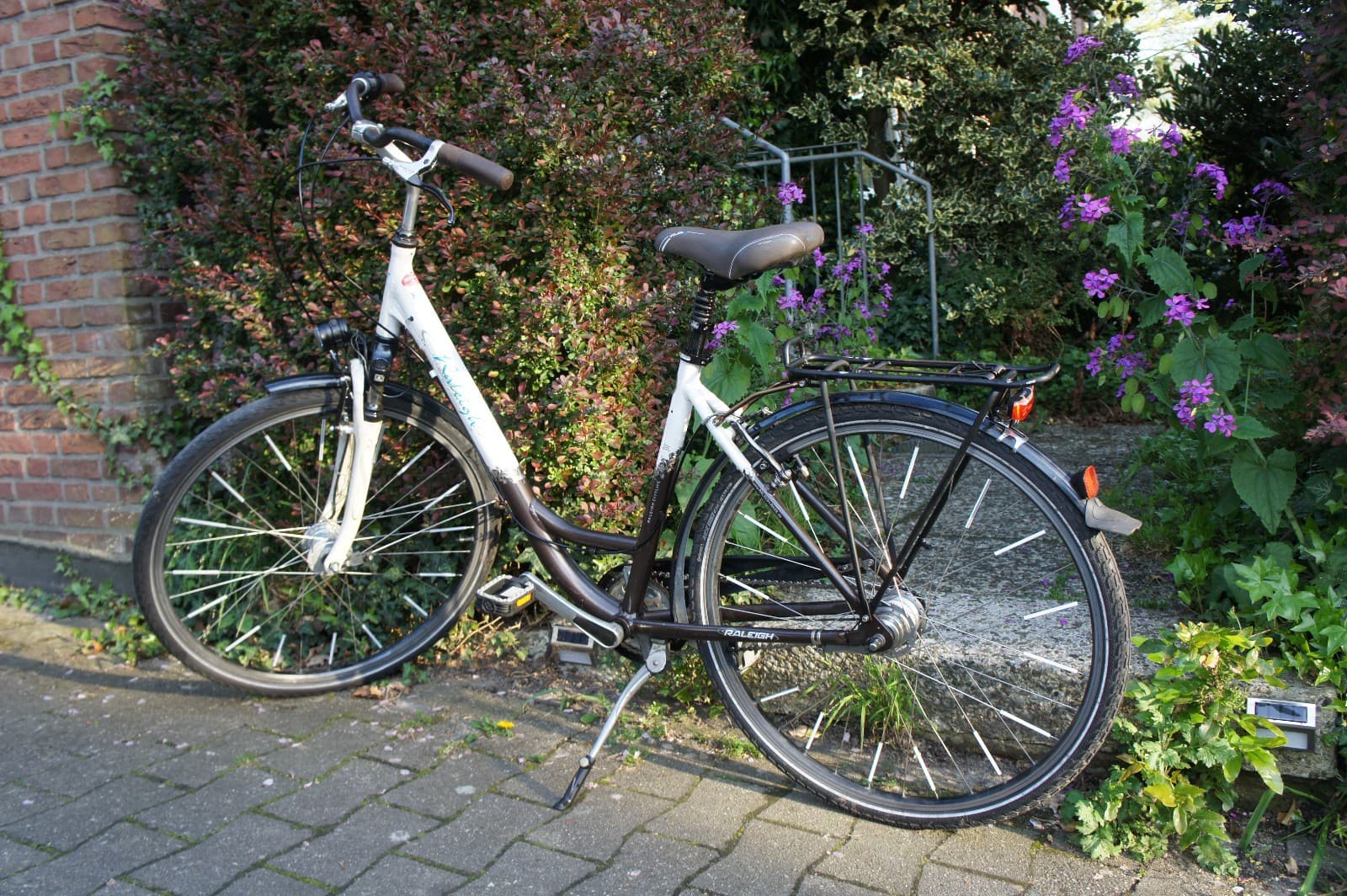 Raleigh Damenrad mit Nabenschaltung