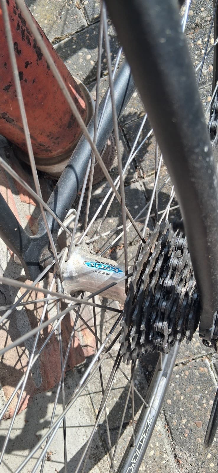 Rennrad