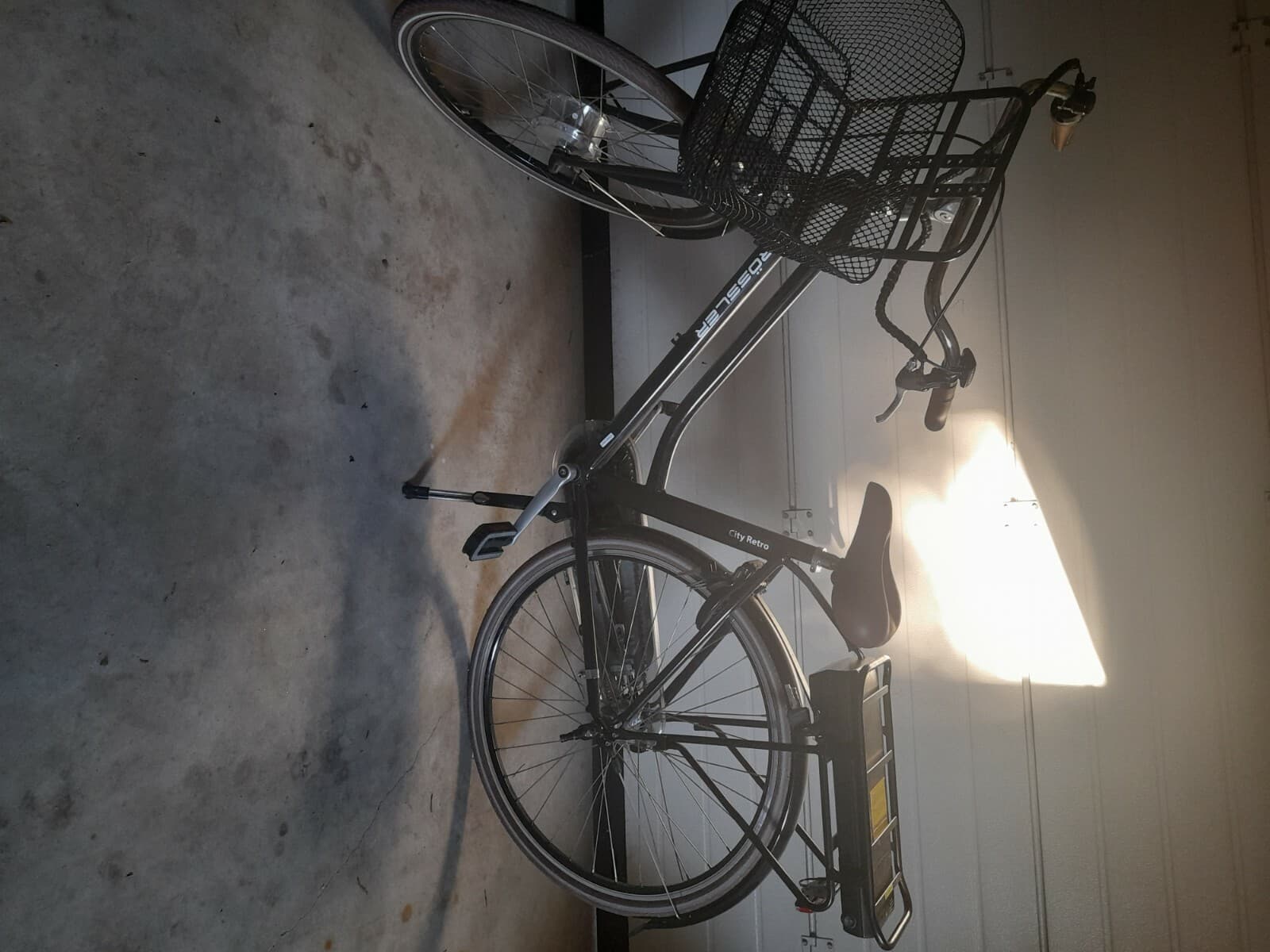 ELEKTROBIKE (Damen)