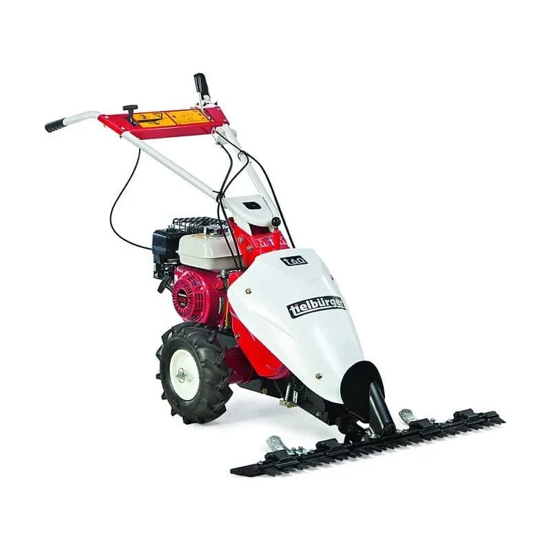 Balkenmäher Tielbürger t60 Briggs&Stratton Intek