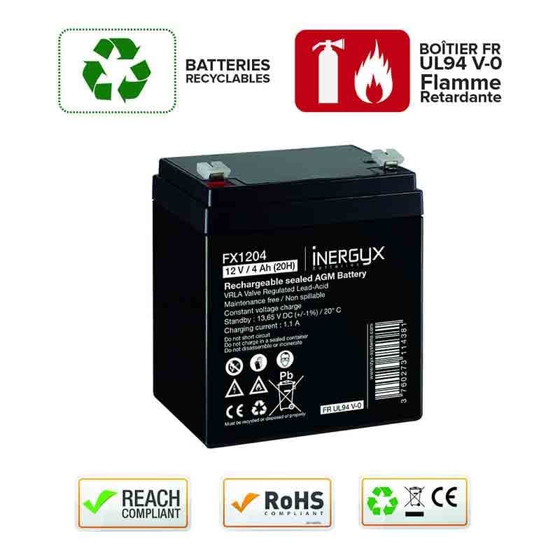 BATTERIE RECHARGEABLE VRLA 12V / 4 Ah - IZYX FX1204