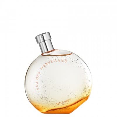 Hermès - Eau Des Merveilles 100 Ml Eau De Toilette Vaporisateur