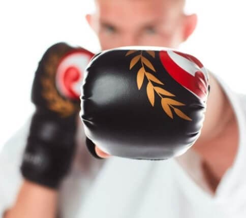 Gants de combat Seishin