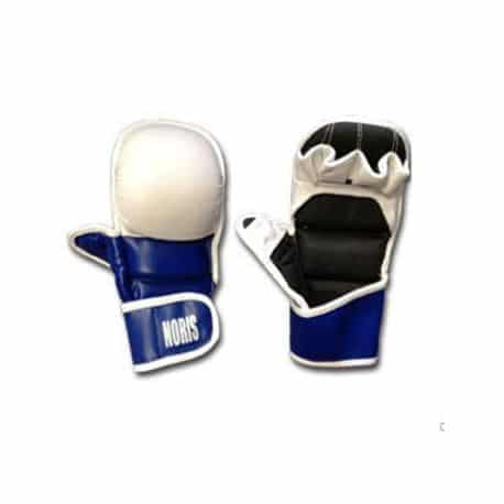 Gants de combat Yoseikan de NORIS