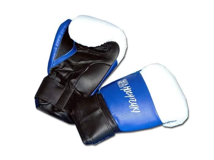 Gants de Yoseikan Budo - Noris