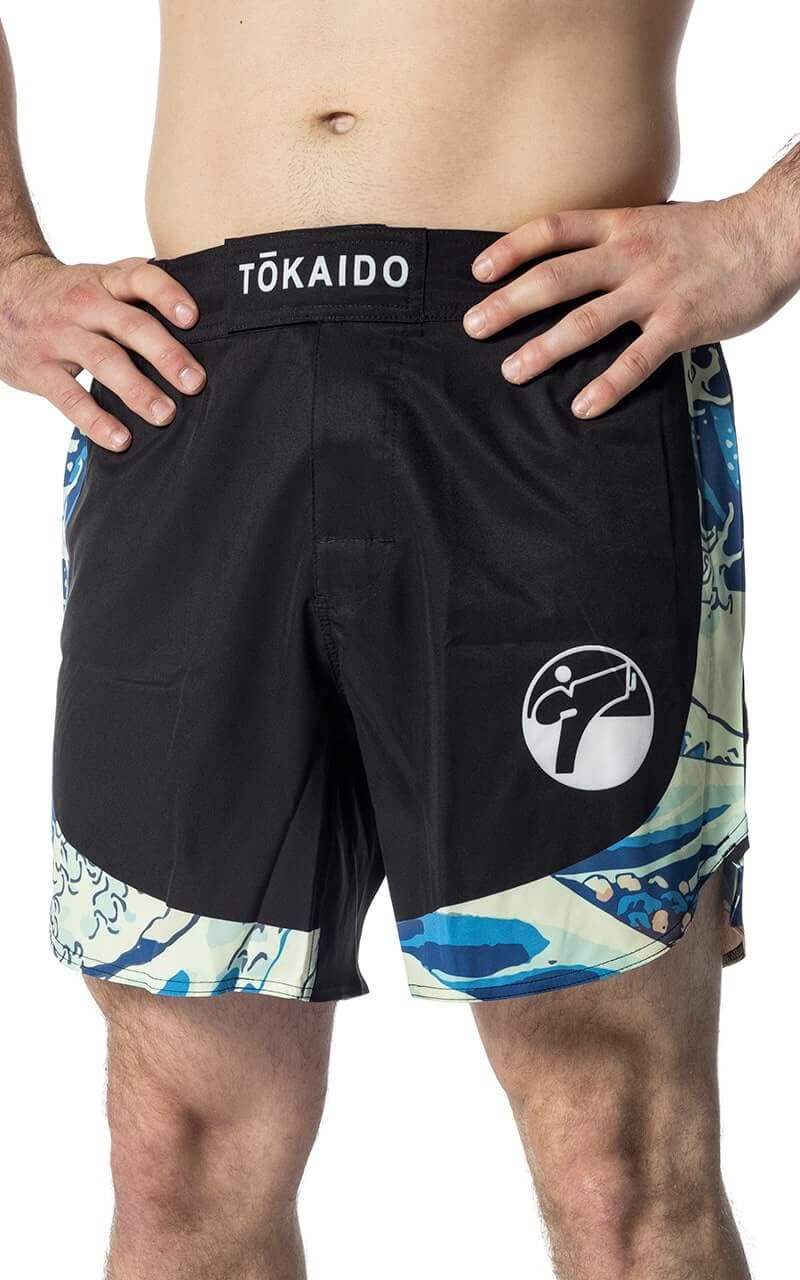 Short Tsunami Tokaido