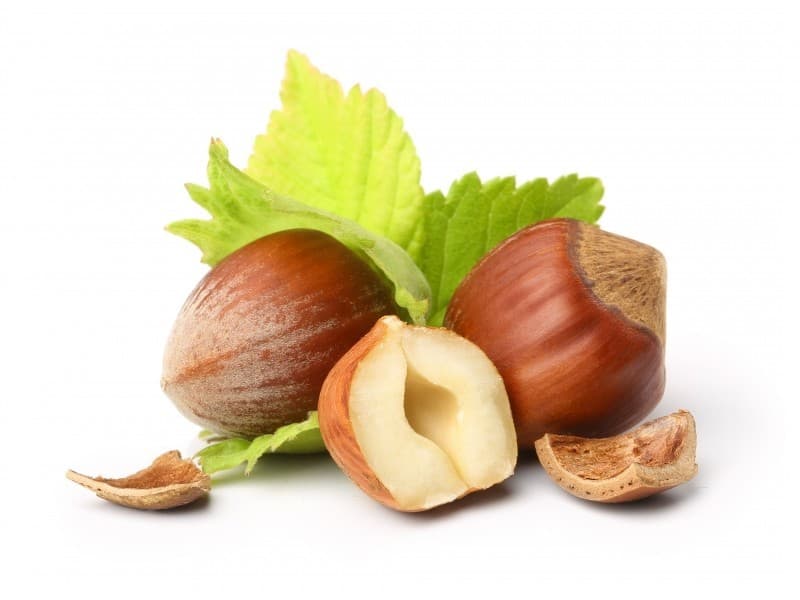 Huile de Noisette BIO 125 ML - PHYTOFRANCE