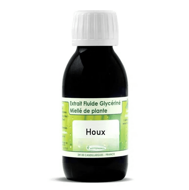 Houx (Petit) Fragon épineux Bio 60 ou 125 mL - BIO & SANTE 125 mL