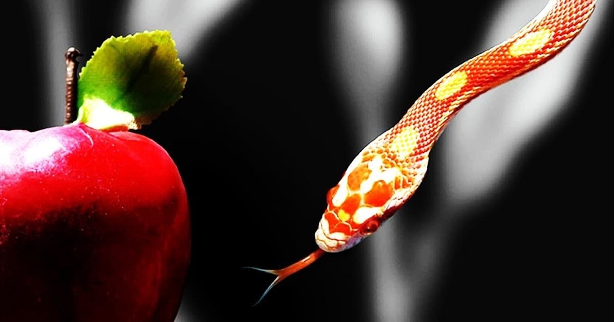 Tentation Flacon 10 ML LA FOLIE DES SENTEURS