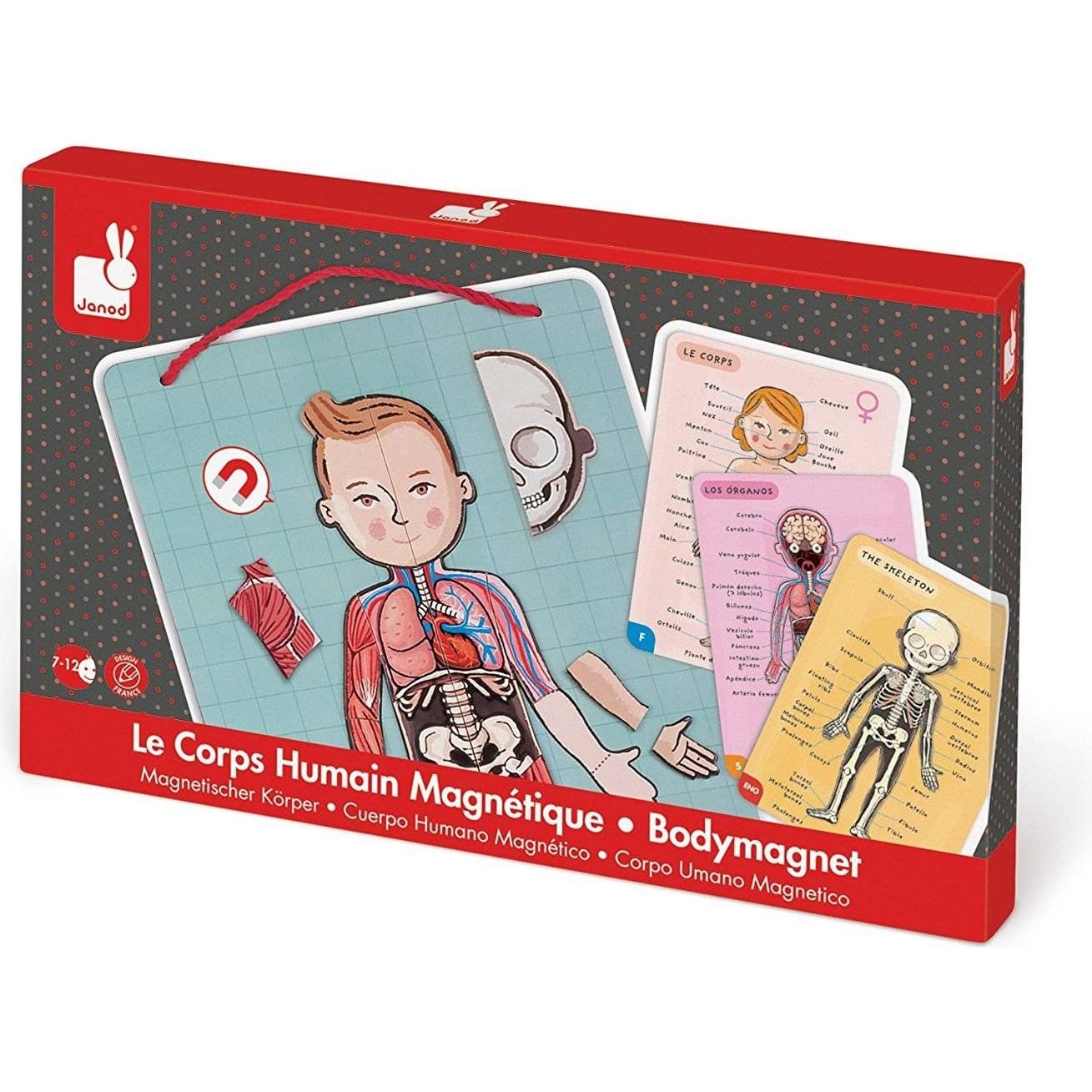 Janod Le corps humain magnétique Bodymagnet